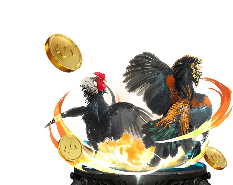 Giấy phép hoạt động